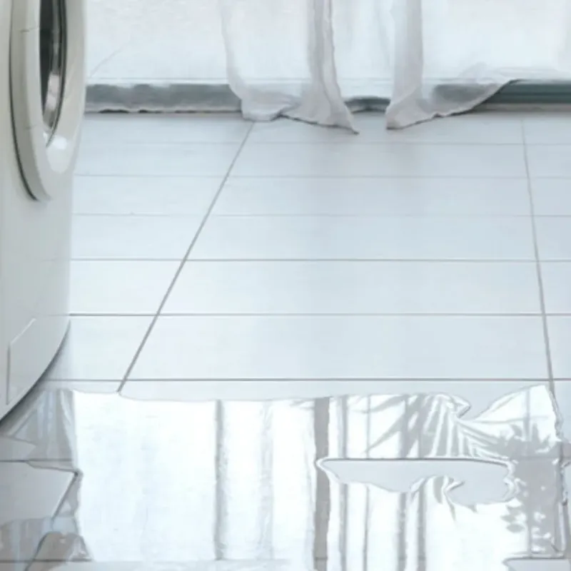 Appliance Leak Cleanup in Lewis County, WV