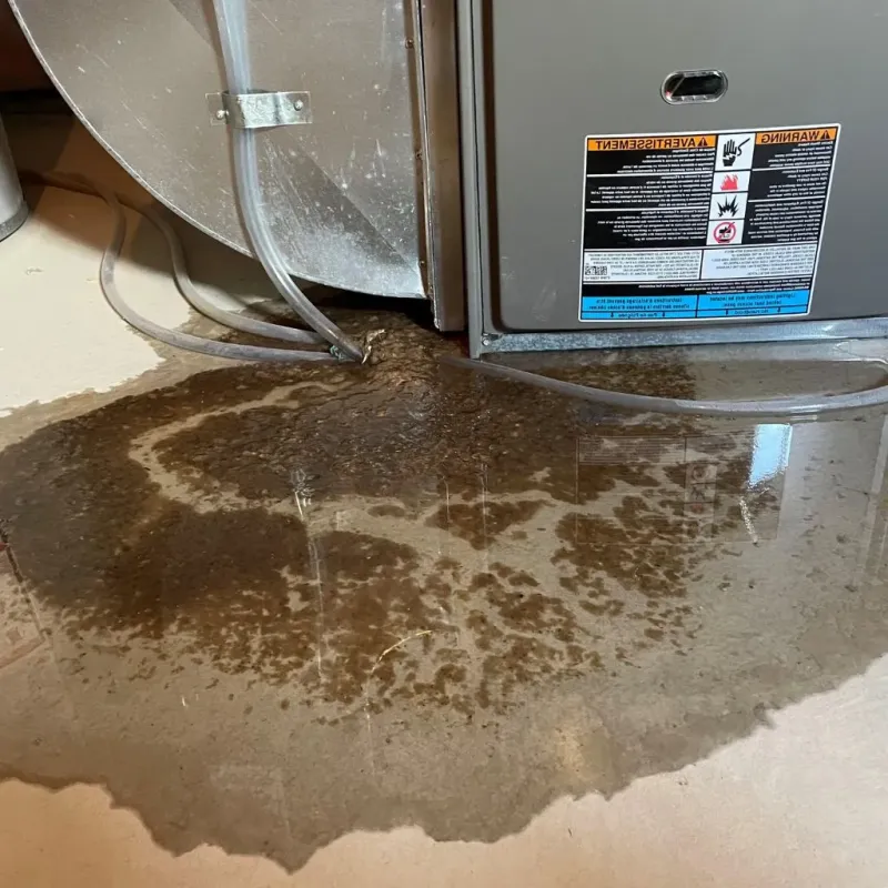 Pipe Burst and Leak Restoration in Lewis County, WV