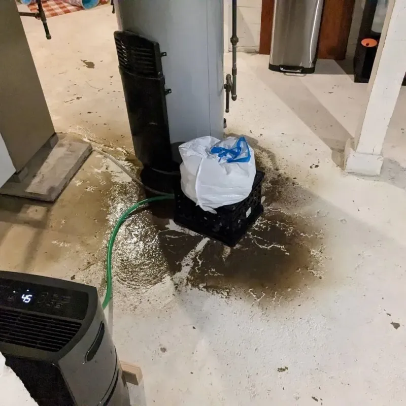Sewage Backup Cleanup Service in Lewis County, WV